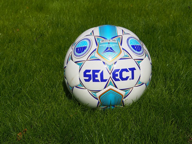 必一体育(B-Sports)